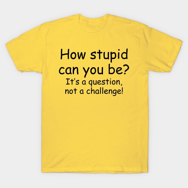How Stupid Can You Be? It's a Question Not a Challenge! T-Shirt by PeppermintClover